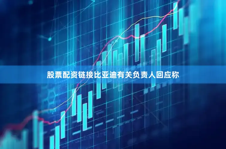 股票配资链接比亚迪有关负责人回应称