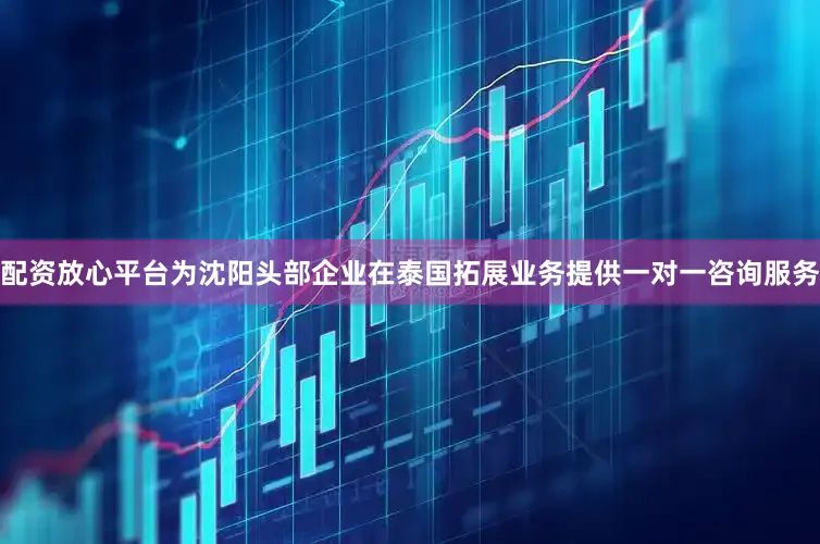 配资放心平台为沈阳头部企业在泰国拓展业务提供一对一咨询服务