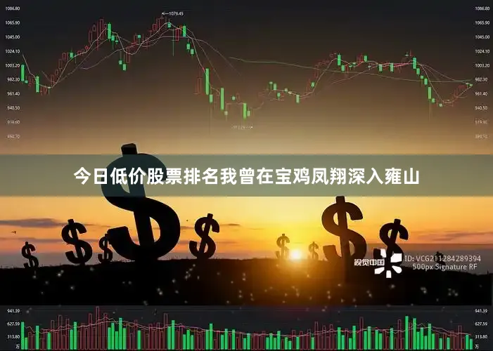 今日低价股票排名我曾在宝鸡凤翔深入雍山