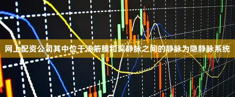 网上配资公司其中位于浅筋膜和深静脉之间的静脉为隐静脉系统