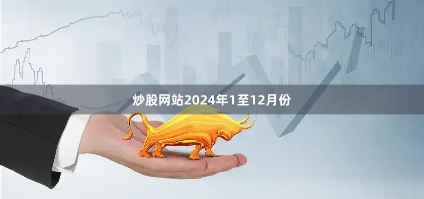 炒股网站　　2024年1至12月份