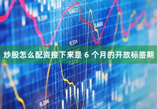 炒股怎么配资接下来是 6 个月的开放标签期
