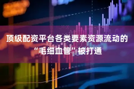 顶级配资平台各类要素资源流动的“毛细血管”被打通