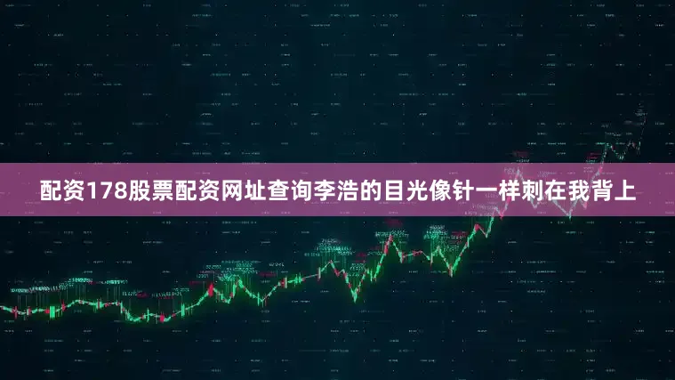 配资178股票配资网址查询李浩的目光像针一样刺在我背上
