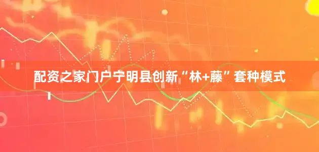 配资之家门户宁明县创新“林+藤”套种模式