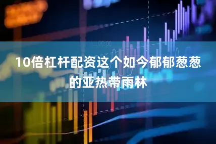 10倍杠杆配资这个如今郁郁葱葱的亚热带雨林
